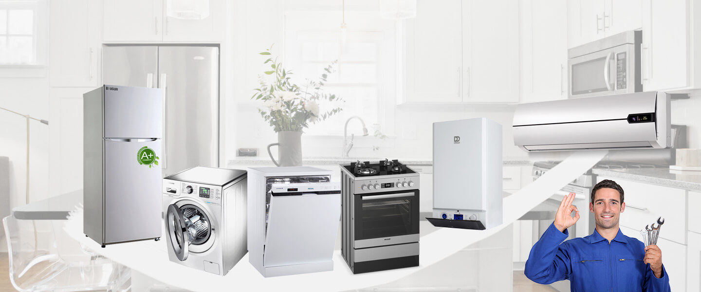 Alaplı Protherm Servisi